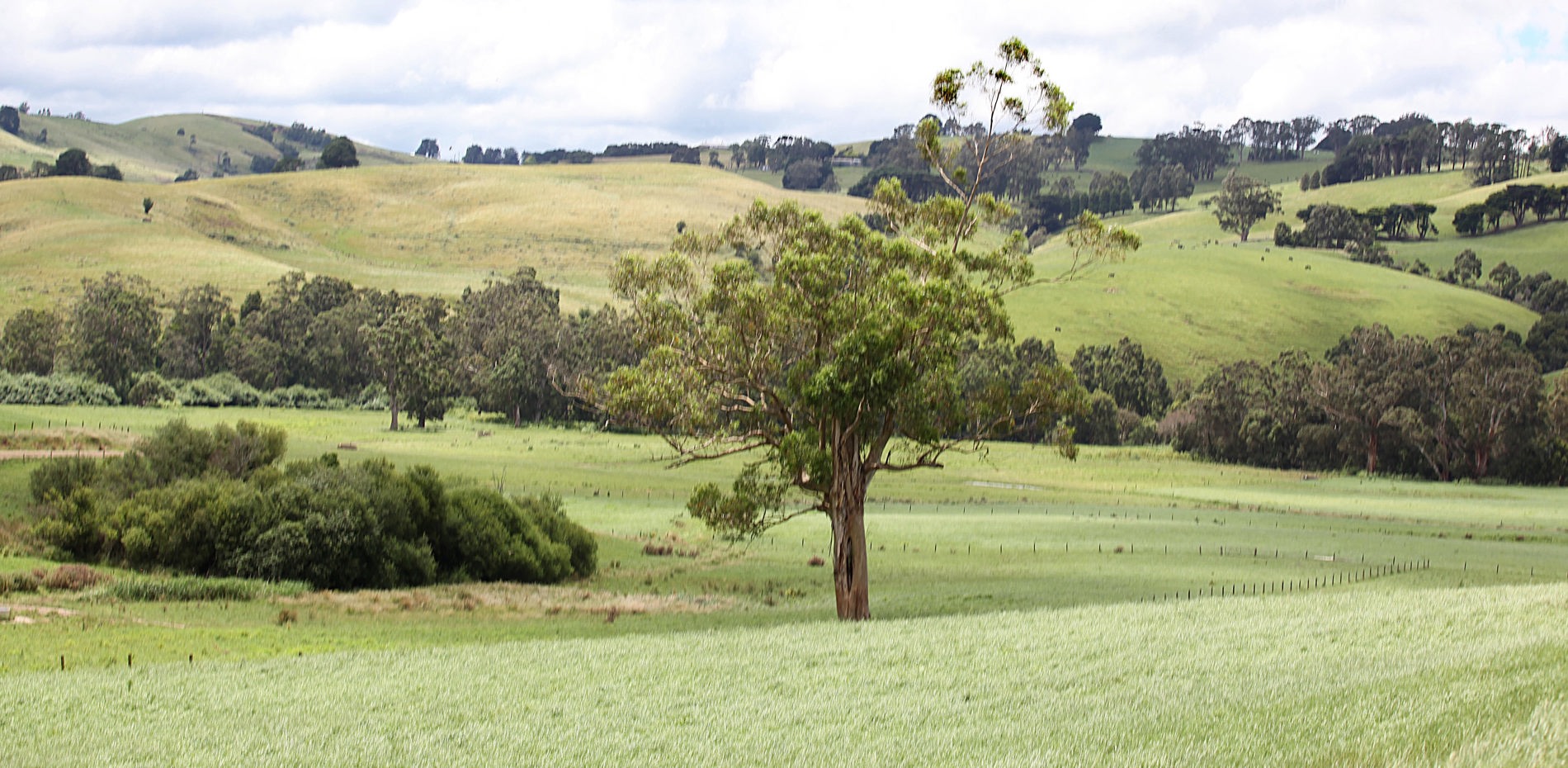 BRINGING SOUTH GIPPSLAND’S NEXT TOURISM WONDER TO LIFE Main Image