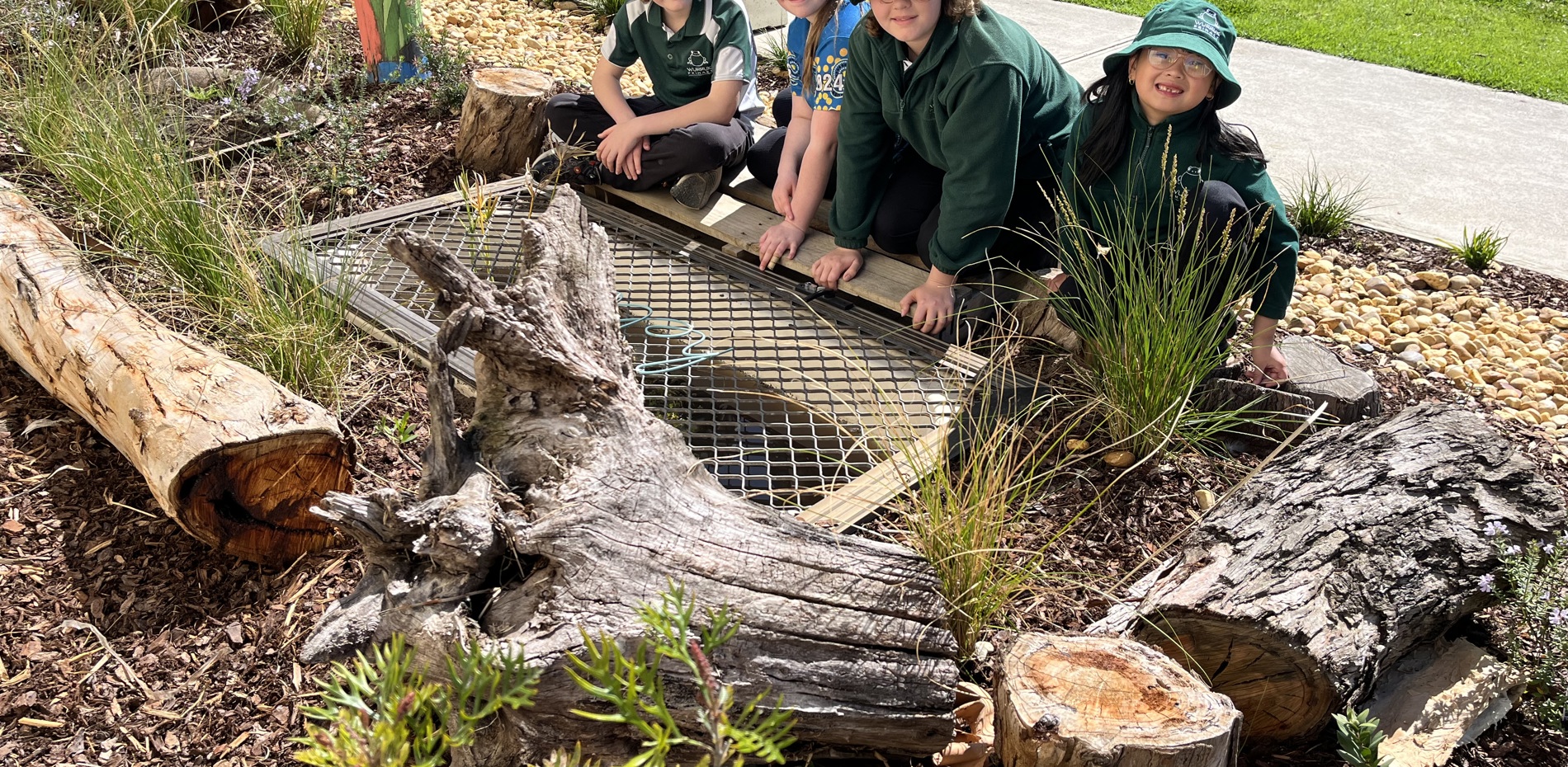 WURRUK PRIMARY SCHOOL STUDENTS LOOKING AFTER THE LOCAL ENVIRONMENT  Main Image