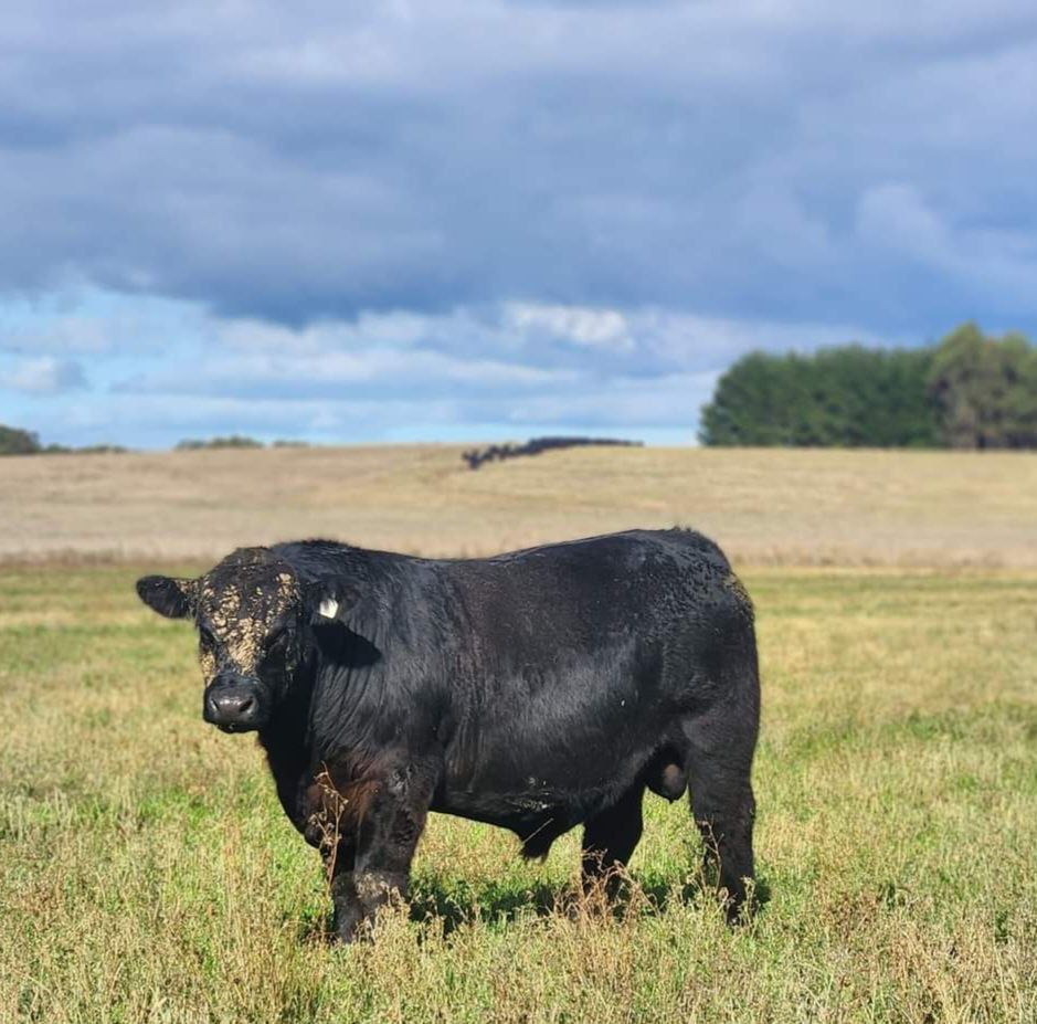 INVESTING IN THE FUTURE OF OUR RISING FARMING LEADERS Main Image